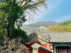 -泰山风景名胜区-普照寺