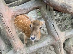 -长鹿旅游休博园