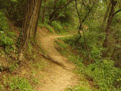 景点-云峰山自然风景区