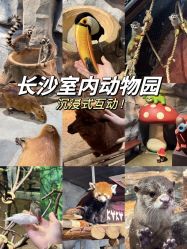 -Zoolung Zoolung动物主题公园(海信广场店)