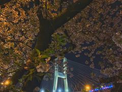 -上海南浦大桥长途旅游客运站
