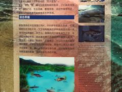 -上海海洋水族馆