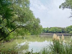 -西溪国家湿地公园