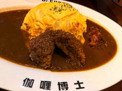 -伽喱博士 Dr.CURRY咖喱饭(太阳宫咖喱店)