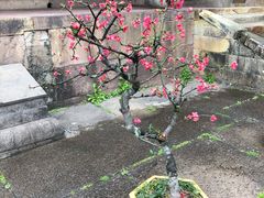 -宁波市保国寺古建筑博物馆