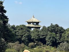 -梧桐山风景名胜区