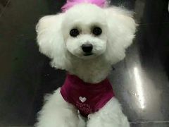 -沐沐家宠物(成寿寺店)