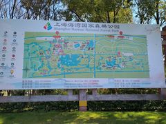 -上海海湾国家森林公园