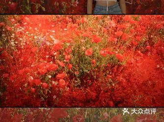 除了拍照还能打卡看展的欧式花园展馆