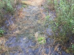 -紫颐香薰山谷景区