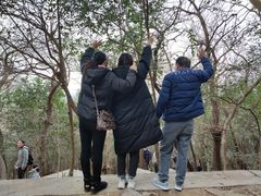 -紫金山山顶公园
