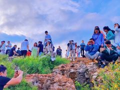 -长虫山生态公园风景林