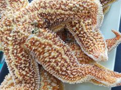 -大锅强·蒸海鲜青岛菜(吾悦广场店)