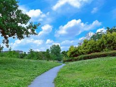 -两河城市森林公园