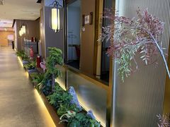 -宏宴·新京菜(望京店)