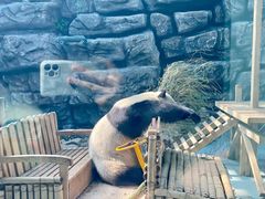 -大青山野生动物园