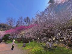 -杭州植物园