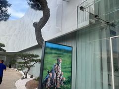 -罗红摄影艺术馆
