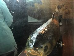 -南京金牛湖风景区