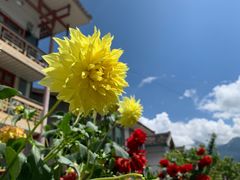 -硗碛藏寨·神木垒景区