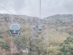 -普陀山风景区-佛顶山