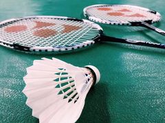 -东坡羽毛球馆(东坡南一路店)