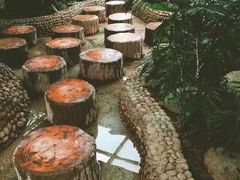 -三江森林温泉度假区
