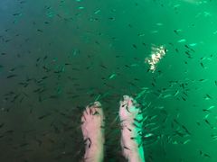 -宝丽金大酒店·洗浴中心