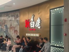 -新白鹿餐厅(虹桥南丰城店)