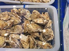 -鑫源渔港(阳光店)