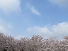 -龙美术馆西岸馆-停车场