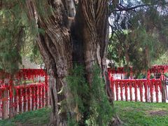 -四门塔风景区