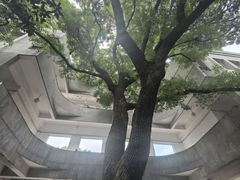 -湖北美术学院(昙华林校区)