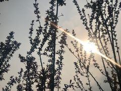 -美兰湖景区