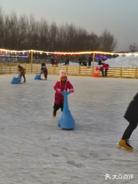 丁香湖丁香小镇Citypark滑雪公园戏雪嘉年华图片