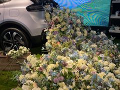 -安吉汽车生活馆(大宁中心广场C3栋店)