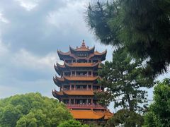 -黄鹤楼公园(黄鹤楼)