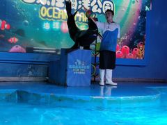 -石家庄海洋公园