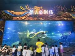 -太奥幻太奇海洋馆