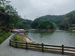 -广州市帽峰山景区