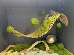 -上海鲜花港