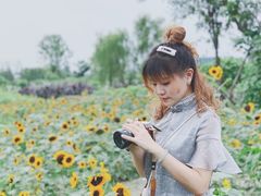 景点-天府芙蓉园