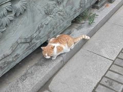 -高旻寺