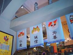 -猫咪博物馆(顶澳仔猫街店)