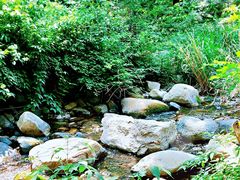 -碓臼峪自然风景区