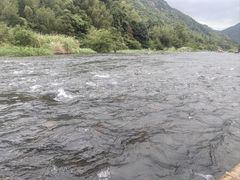 -九鲤溪瀑景区