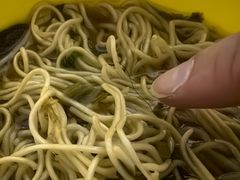 -老盛昌(百色店)