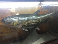 -南京金牛湖风景区