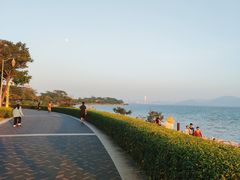 -深圳湾公园(南山区)