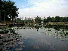 android_upload_pic-四海公园(南山区)